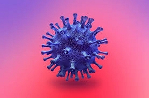 “Terminator COVID”: por qué hay personas que parecen inmunes al coronavirus