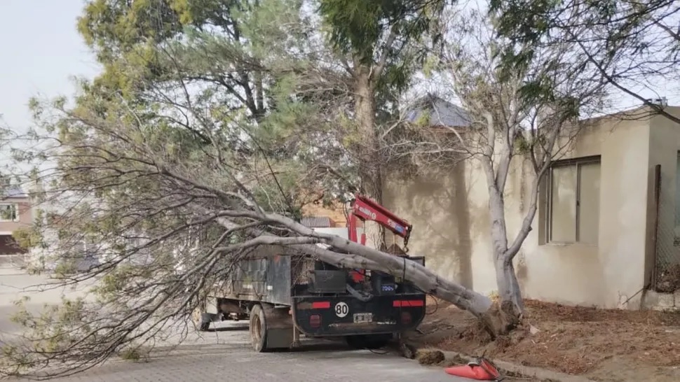 El Municipio comenzará esta semana con la entrega de materiales para las viviendas afectadas por el temporal de viento