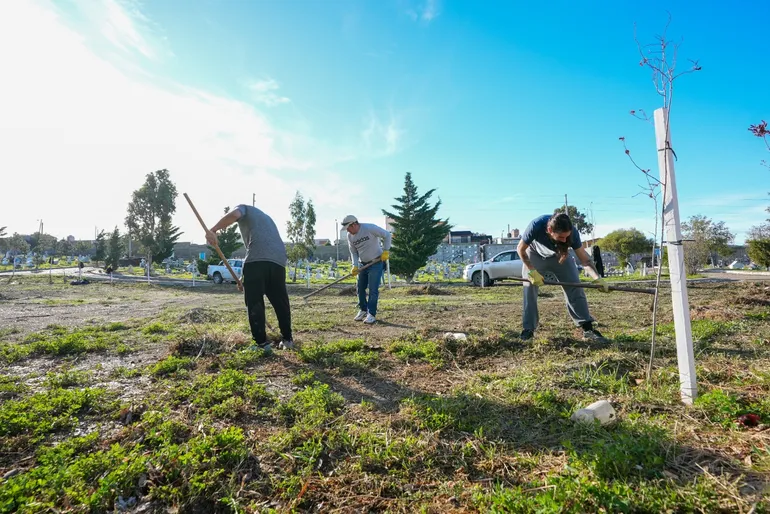 Tareas de mantenimiento en el Cementerio Oeste y en plazas