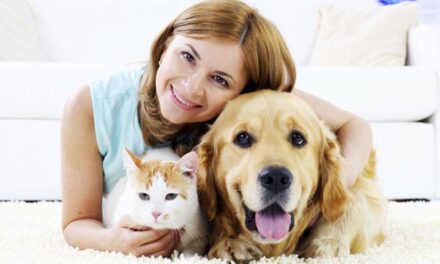 Día del Animal: por qué se celebra hoy