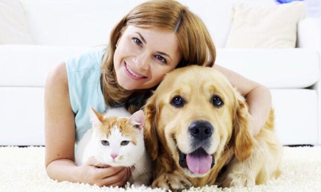 Día del Animal: por qué se celebra hoy
