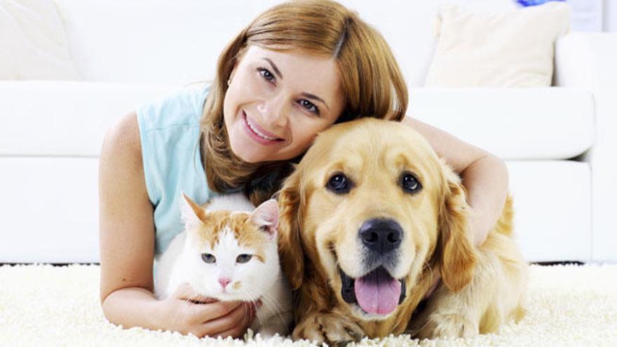 Día del Animal: por qué se celebra hoy